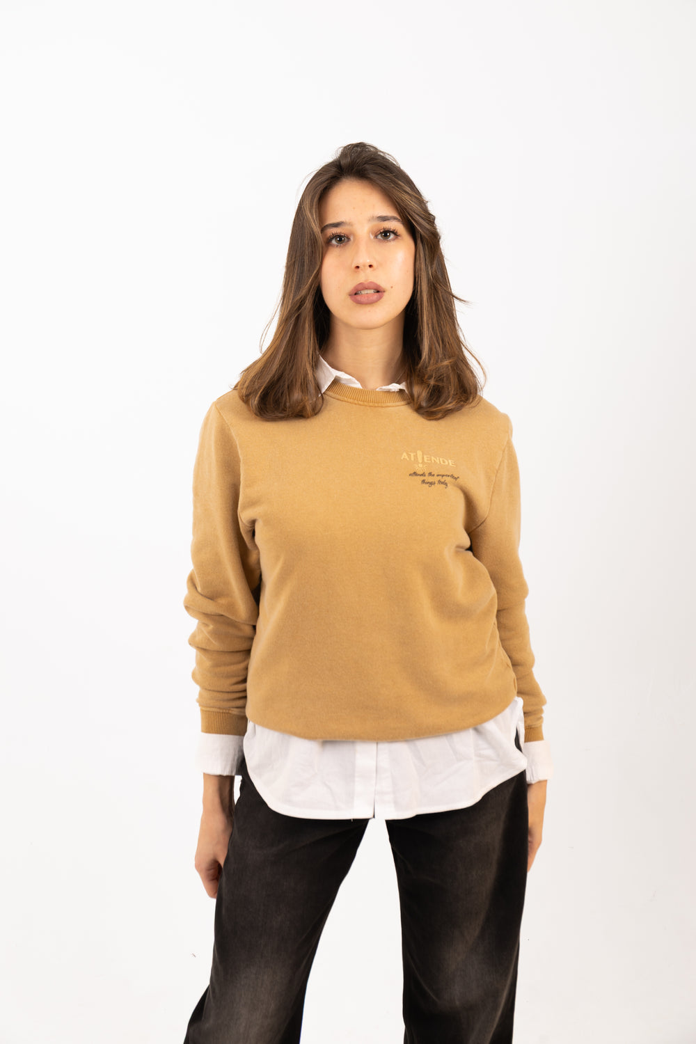 SUDADERA REGULAR SIN CAPUCHA - Atiende