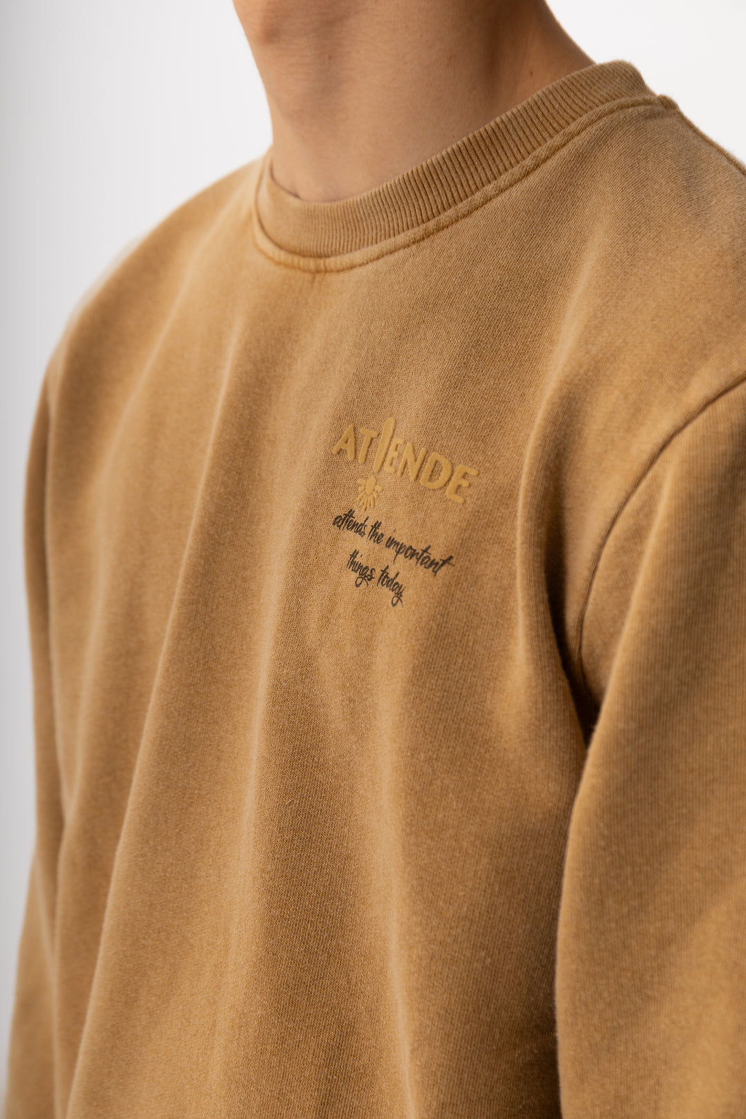 SUDADERA REGULAR SIN CAPUCHA - Atiende