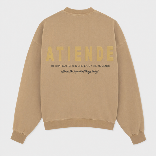 SUDADERA REGULAR SIN CAPUCHA - Atiende