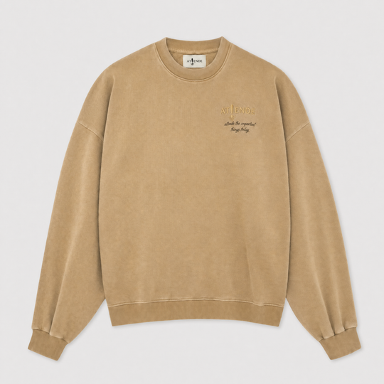 SUDADERA REGULAR SIN CAPUCHA - Atiende