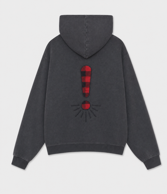 SUDADERA OVERSIZE CON CAPUCHA - PILARICA